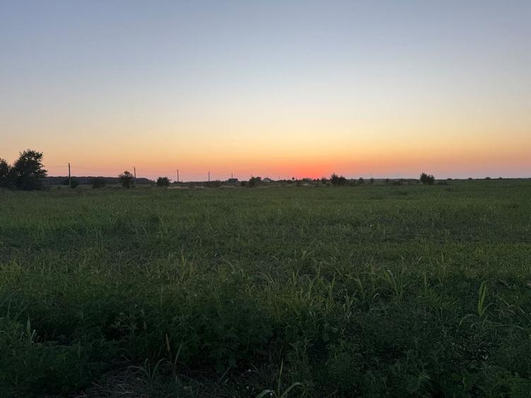 Teren agricol extravilan de 1000 mp, în Exterior Est