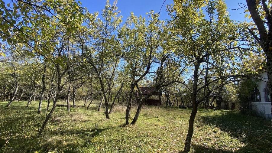 Casa+teren 2713 mp in loc. Babana, jud. Arges. Comision 0% - 6