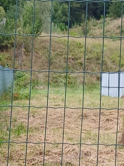 Teren intravilan de 8027 mp, în Voroneț