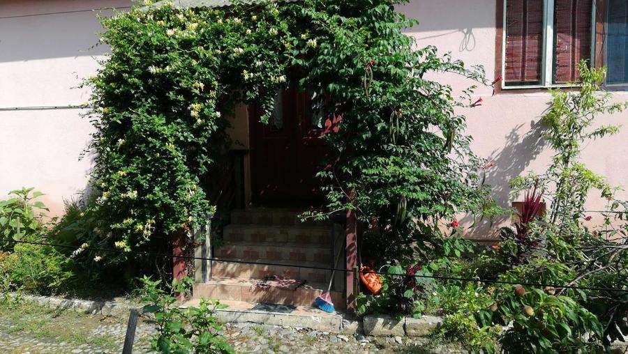 Casă cu 3 camere în Apoldu de Sus