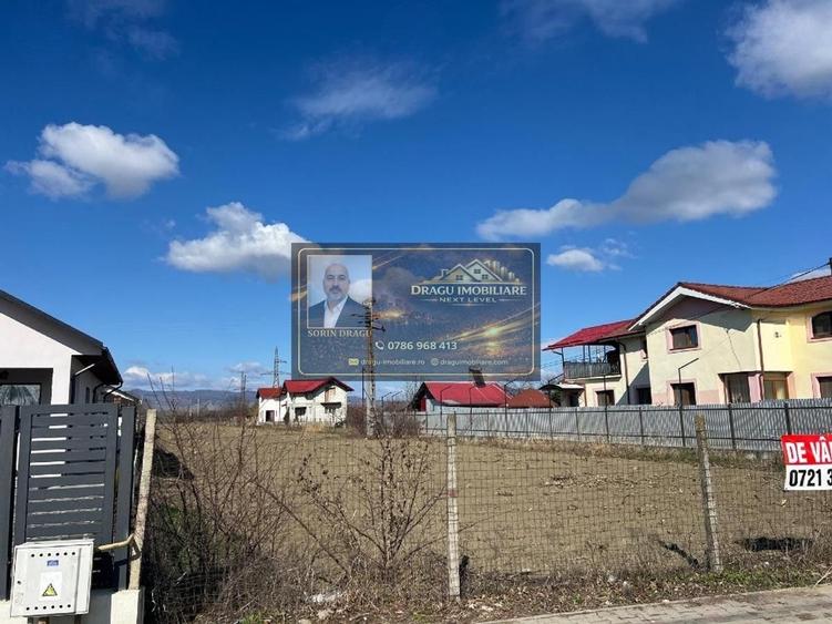 Teren Construcții intravilan de 3712 mp, în Sud