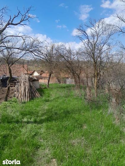 Teren de 2360 mp, în Romos