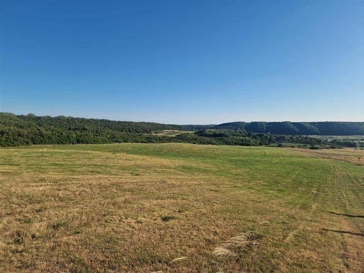 Teren Construcții intravilan de 13234 mp, în Betfia