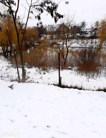 Teren de 5000 mp, în Albota