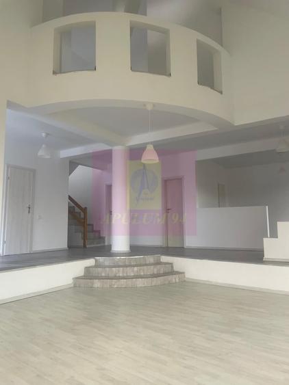 Casă cu 5 camere în Berceni