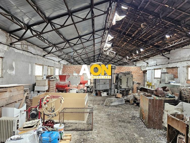 Spațiu industrial, de 1,400 mp, în Lunca Mureșului