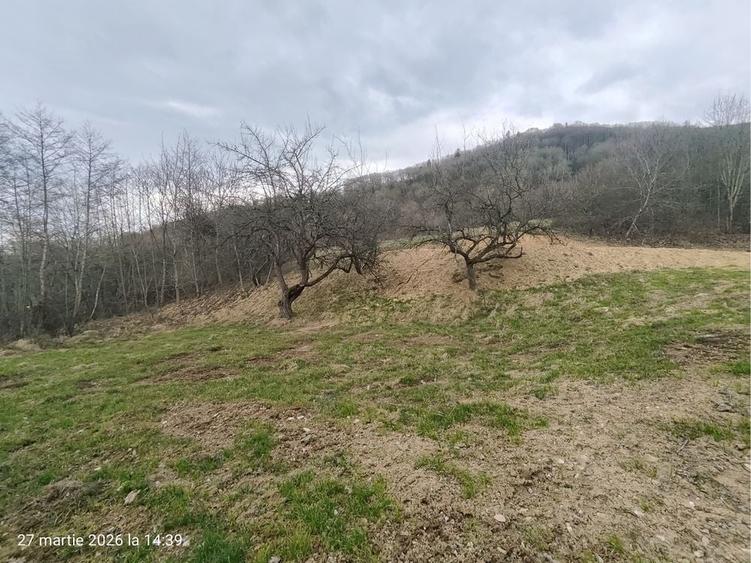 Teren de 1200 mp, în Sibiel
