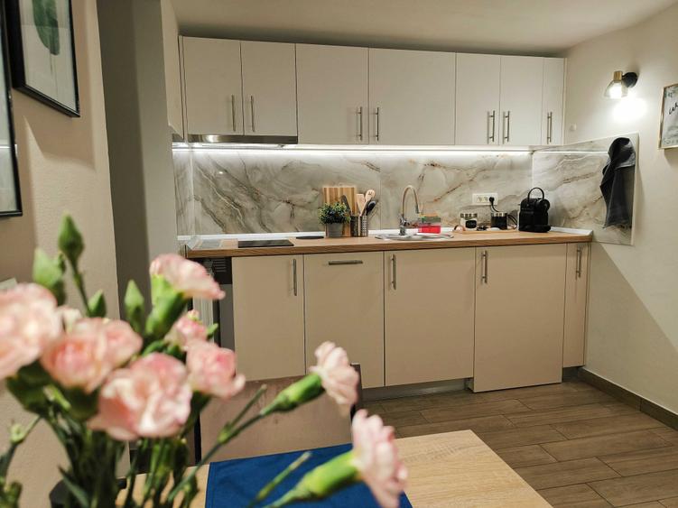 Apartament cu 2 camere semidecomandat în Parcul Carol
