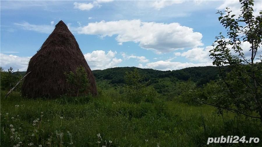 Teren de 20000 mp, în Gura Bărbulețului