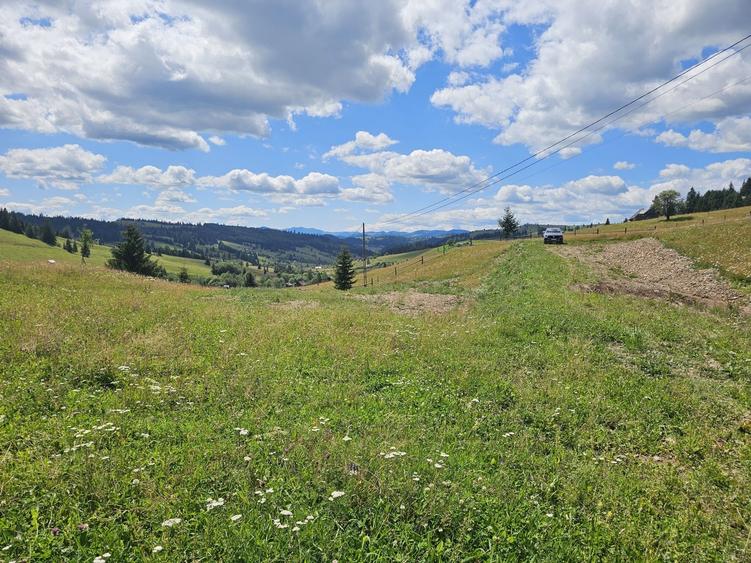 Teren de vanzare extravilan in Bucovina zona Breaza - 7