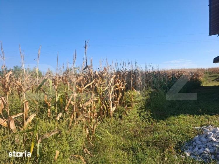 Teren de 5000 mp, în Văcărești