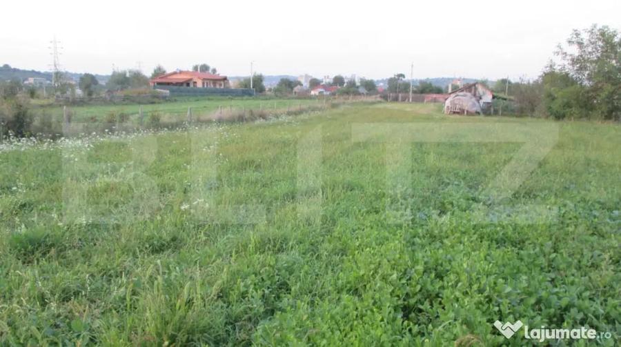 Teren de 6000 mp, în Turda