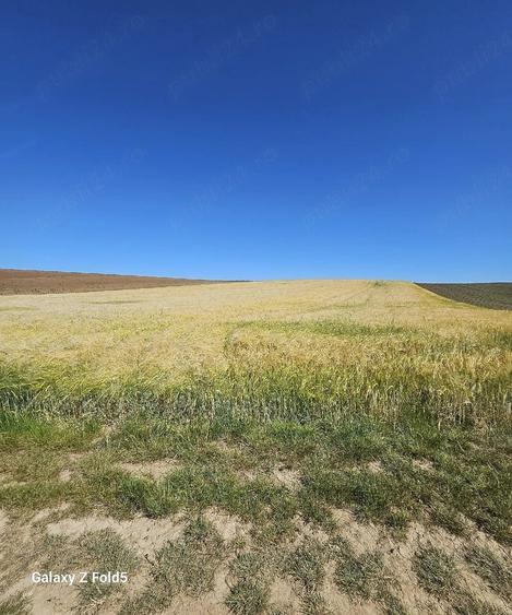 Teren de 9800 mp, în Chișirid