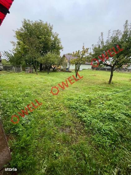 Casă cu 2 camere în Catalina