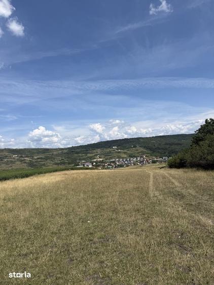 Comision 0! Parcele teren 500mp toate utilitatile - Cluj Napoca - Odob - 4