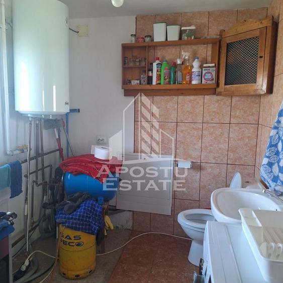 Casa individuala in Ianova,Comuna Remetea Mare - 9