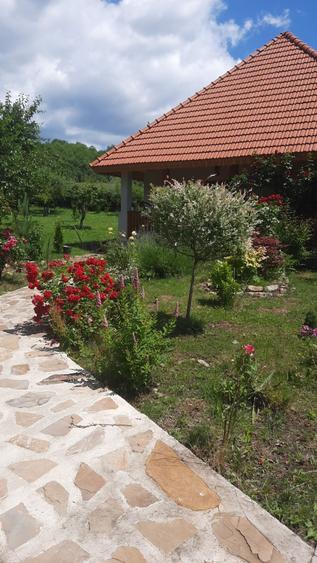 Casă cu 4 camere în Făget
