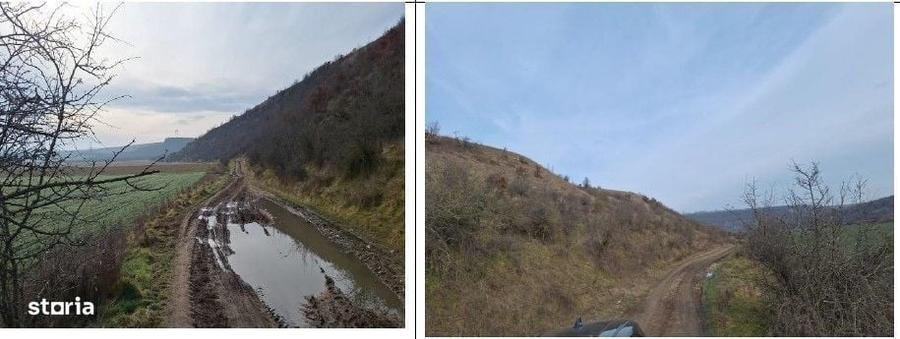 Spațiu comercial, în Deleni