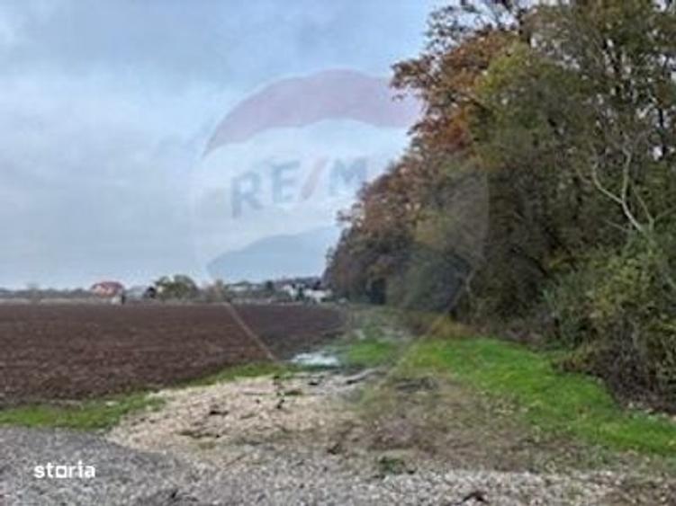Spațiu comercial, în Vlădiceasca