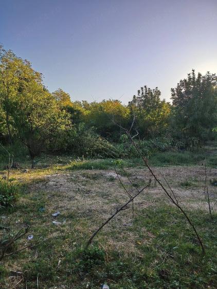Casă cu 6 camere cu Teren 5000 Mp în Pietroșani