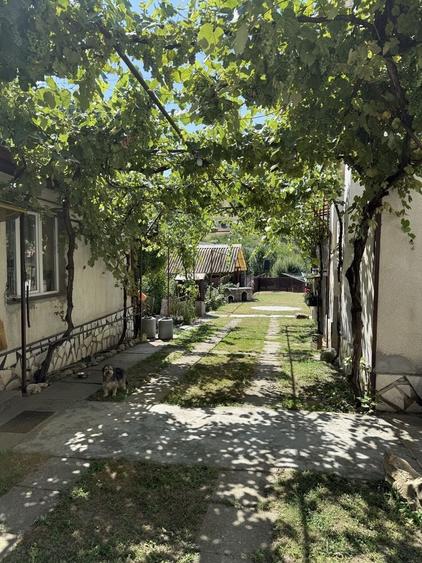 Casă cu 4 camere în Vale