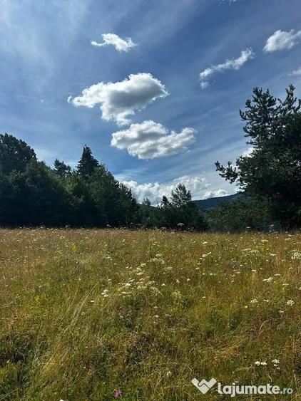Teren în Bistra