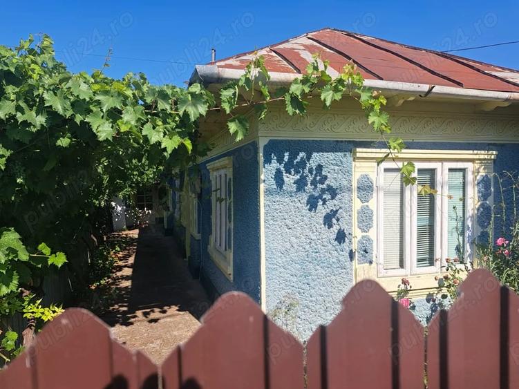 Casă cu Teren 1300 Mp în Chiscani