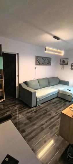 De vanzare apartament 2 camere in Calea Sagului - 2