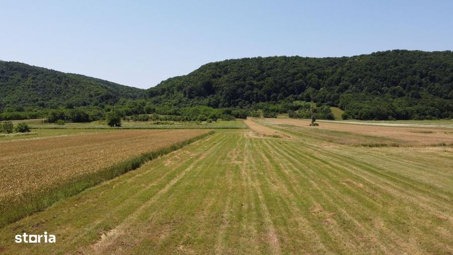 Teren de 5000 mp, în Cocorăștii Caplii