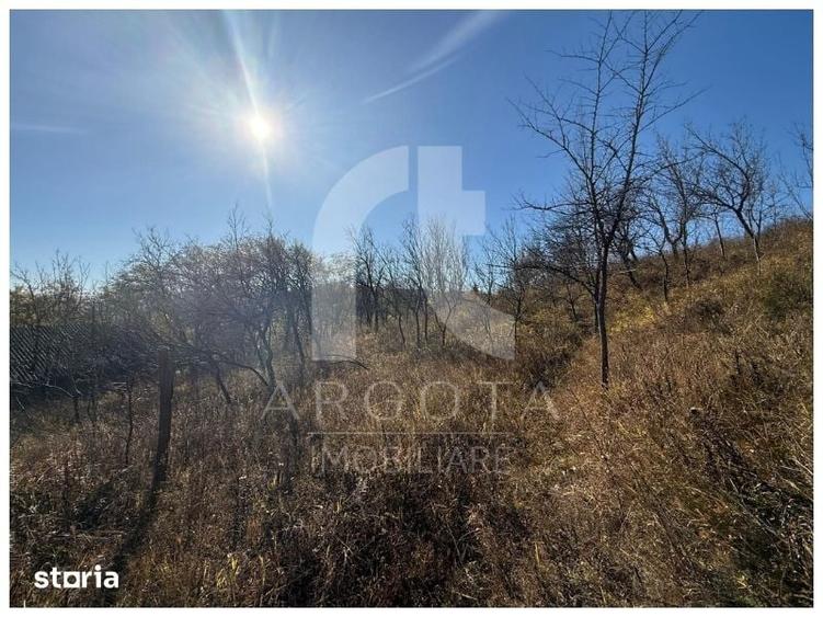 Teren de 3250 mp, în Cozieni