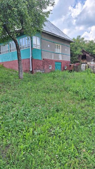 Casă cu 2 camere cu Teren 6000 Mp în Tioltiur