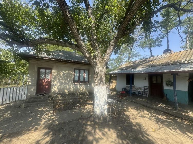 Casă cu 3 camere în Floroaica