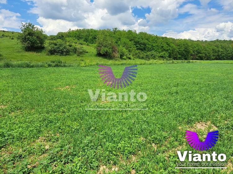 Teren agricol extravilan de 500 mp, în Turnișor