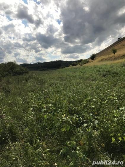 Teren de 11500 mp, în Micăsasa