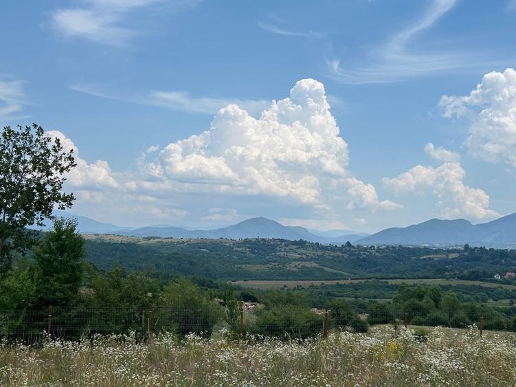 Teren în Central
