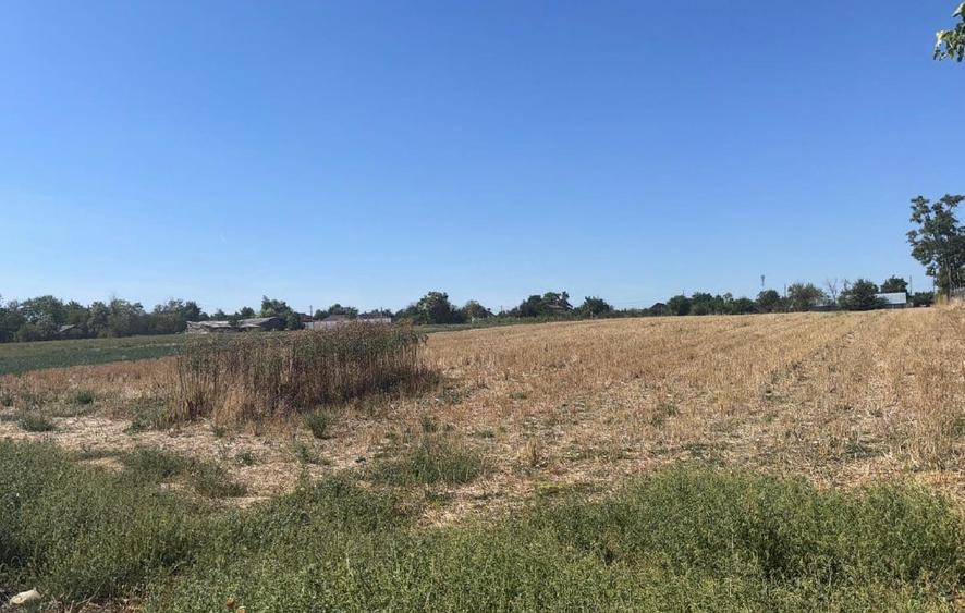 Teren agricol intravilan de 4000 mp, în Roseți
