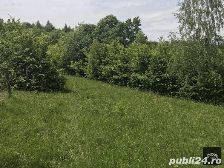 Teren de 14600 mp, în Albești