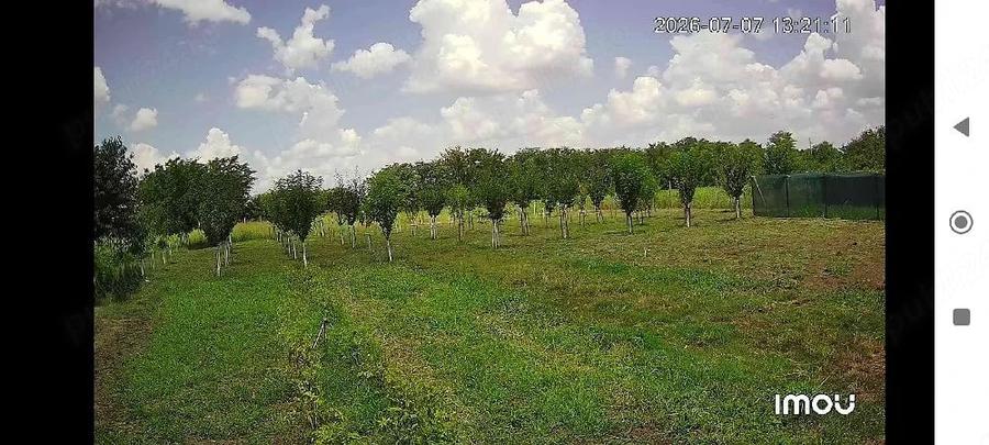 Casă cu 2 camere cu Teren 10000 Mp în Central