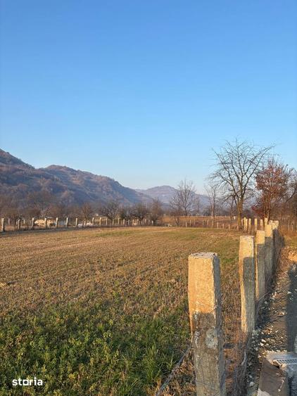 Teren de 3111 mp, în Feldru
