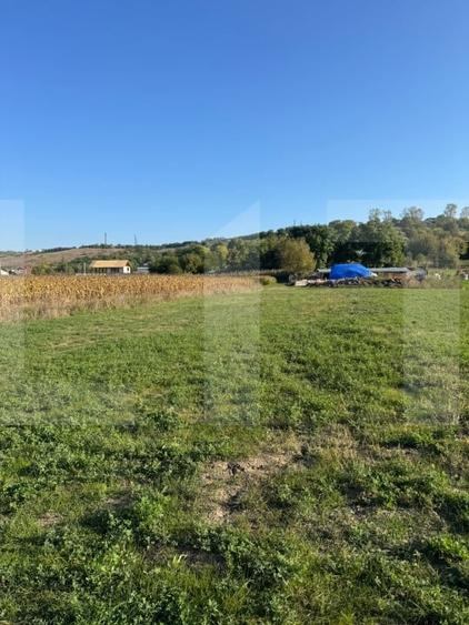 Teren agricol extravilan de 985 mp, în Manolești