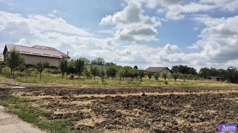 Teren Construcții intravilan de 2300 mp, în Sud-Vest