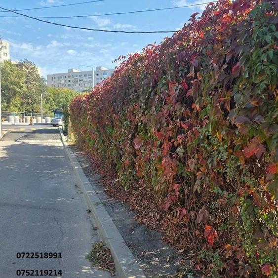 Spațiu comercial, în Ghencea
