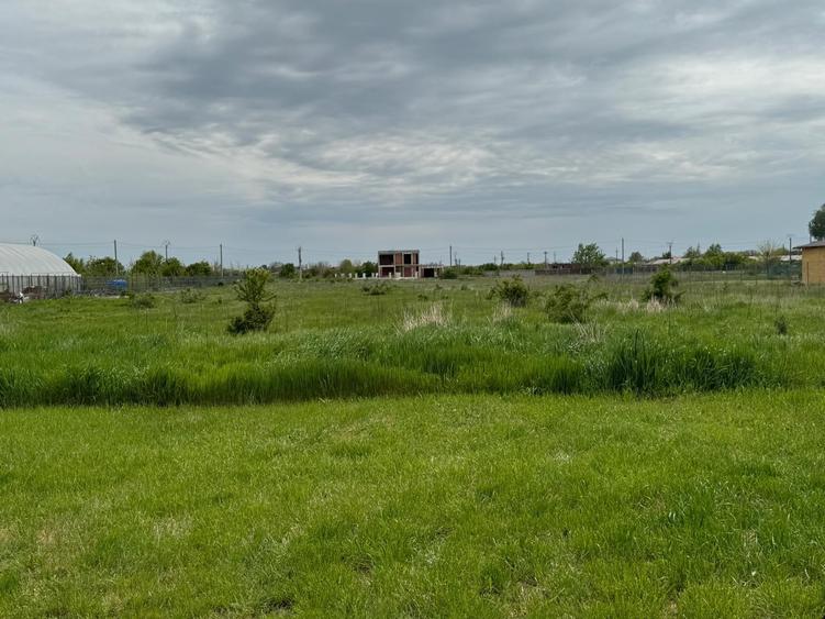 Vanzare Teren construibil 1 Decembrie Ilfov - 2