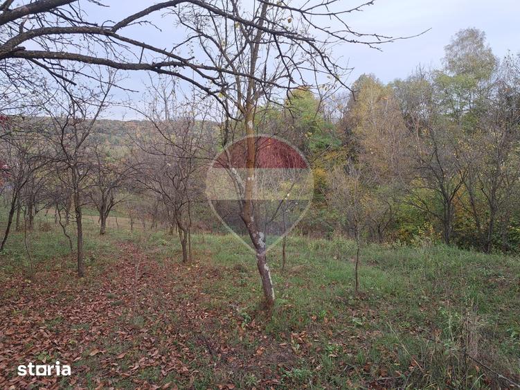 Teren de 3500 mp, în Vărbila
