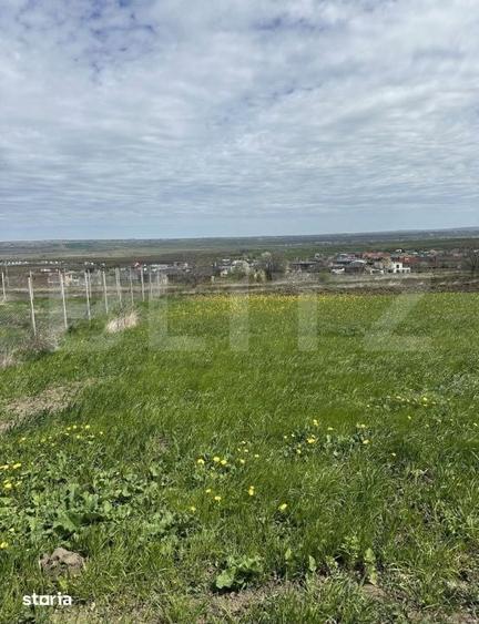 Teren de vanzare intravilan, 10 ari, Bosanci - 2