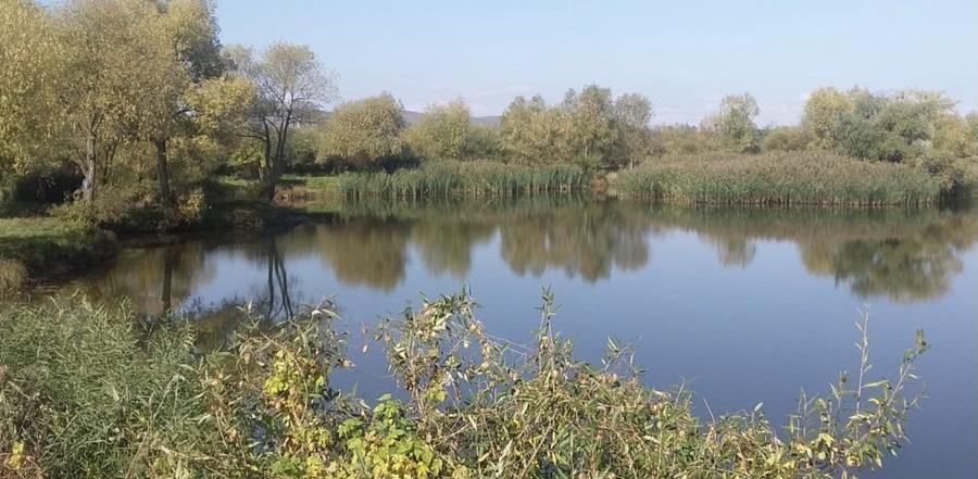 Teren Construcții extravilan de 91400 mp, în Ilieni