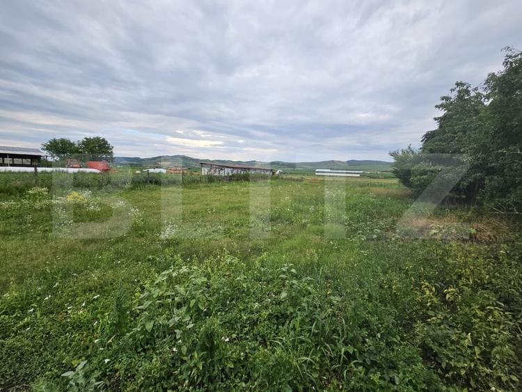 Casă individuală cu 3 camere cu Teren 2698 Mp în Ocna Mureș
