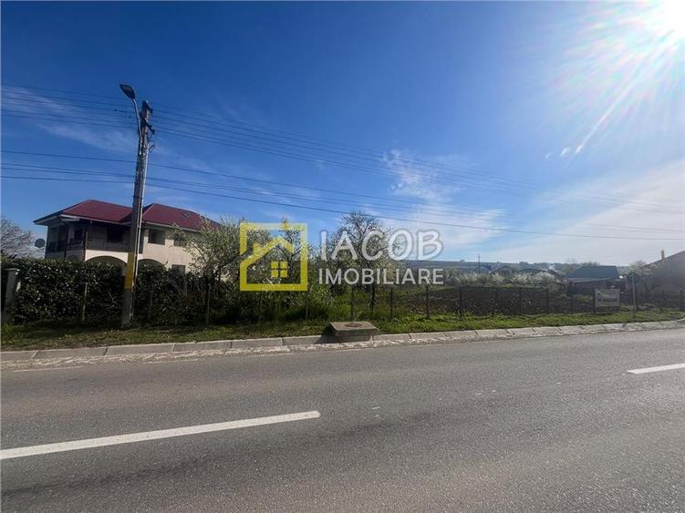 Teren Construcții intravilan de 2554 mp, în Prăjești (Traian)
