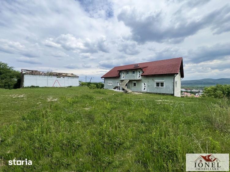 Casă cu Teren 6000 Mp în Teiu