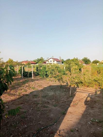 casa checea-30 km de Timisoara - 4